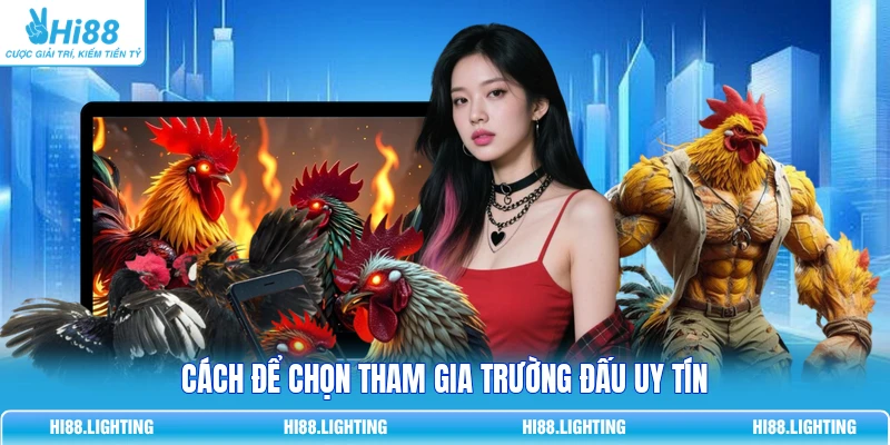 Đấu Trường Đá Gà - Quy Tắc Vận Hành Sân Chơi Trực Tuyến Cách để chọn tham gia trường đấu uy tín