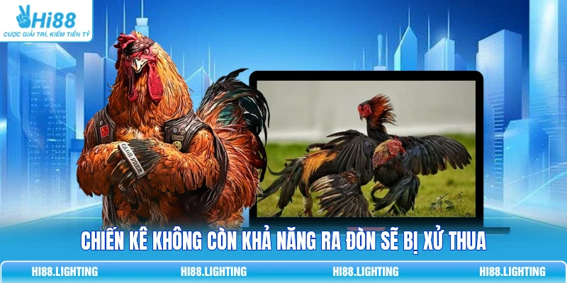 Đá Gà - Quy Tắc Phân Xử Thắng, Thua Và Hoà Trong Trận Đấu Chiến kê không còn khả năng ra đòn sẽ bị xử thua