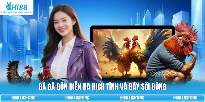 Đá Gà Đòn Là Gì? So Sánh Chi Tiết Với Đá Gà Có Cựa Đá gà đòn diễn ra kịch tính và đầy sôi động