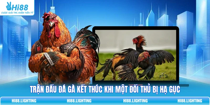 Tình Huống Khiến Trận Đấu Đá Gà Trực Tuyến Kết Thúc? Trận đấu đá gà kết thúc khi một đối thủ bị hạ gục