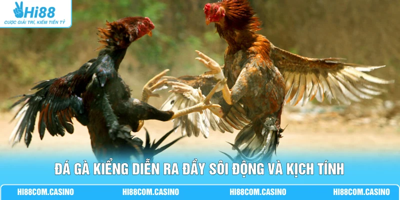 Đá Gà Kiểng - Cập Nhật Các Quy Định Luật Chơi Mới Hiện Nay Đá gà kiểng diễn ra đầy sôi động và kịch tính
