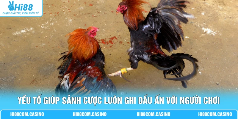 AOG Đá Gà Hi88 - Cuốn Hút Hàng Vạn Thành Viên Theo Dõi Yếu tố giúp sảnh cược luôn ghi dấu ấn với người chơi